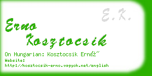 erno kosztocsik business card